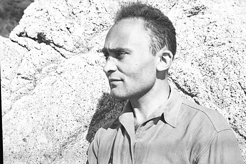 Nathan Adler (psychologist)
